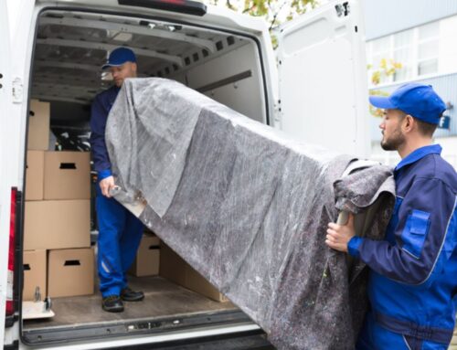 Top 9 Reasons Why You Need To Hire A Professional Moving Company