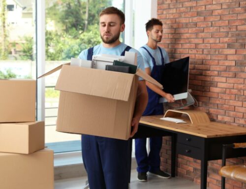 Master the Art of House Removals: Your Comprehensive Guide to a Stress-Free Move